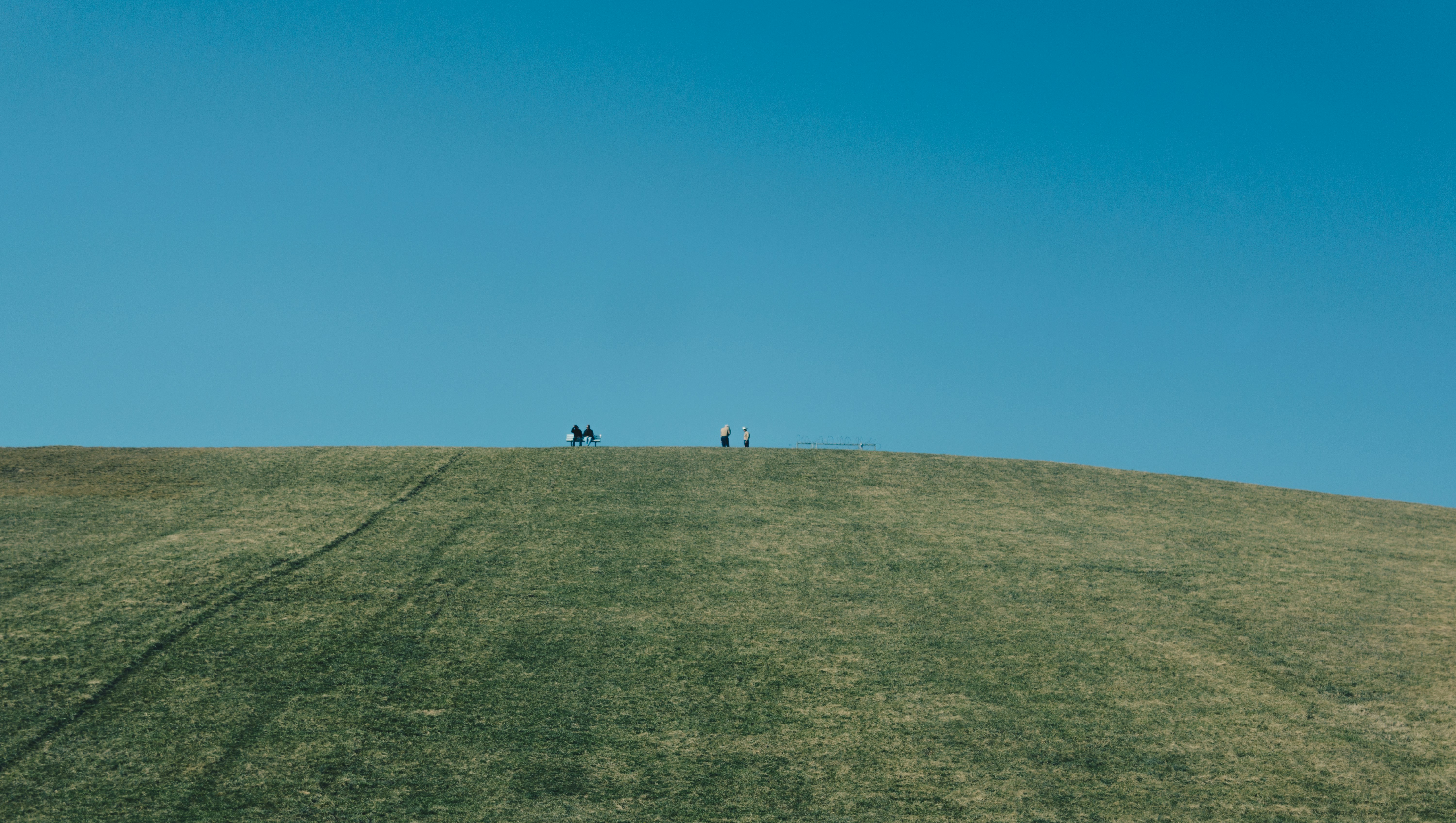 people on green grass field during daytime